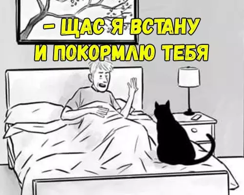 продолжение Смешная картинка №680476 Коты