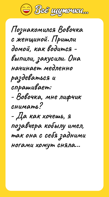 Познакомился Вовочка с женщиной. Пришли домой, как водится - выпили,