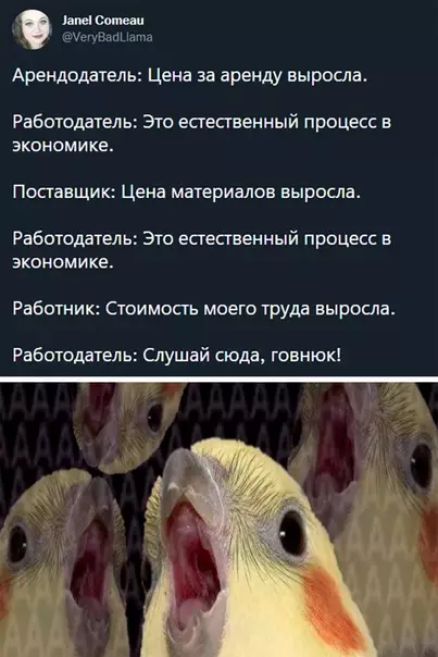 Смешная картинка №617353 Работа