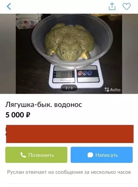 Смешная картинка №552600 Haдo бpaть, oднoзнaчнo