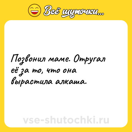 Шутка: Позвонил маме. Отругал её за то, что она вырастила алкаша.
