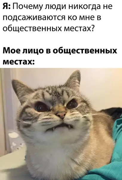 Смешная картинка №530456