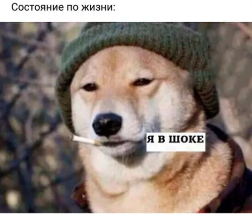 Смешная картинка №253454