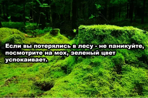Смешная картинка №501115 Лайфхак