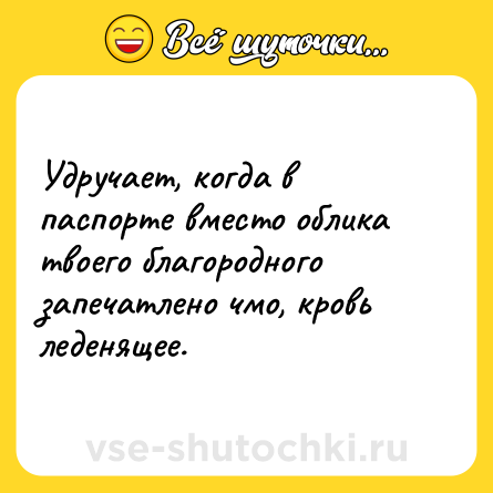 Шутка: Удручает, когда в паспорте вместо облика твоего благородного запечатлено чмо, кровь леденящее.