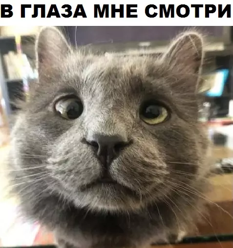 Смешная картинка №311694