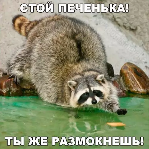Смешная картинка №259916