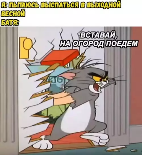 Смешная картинка №273132