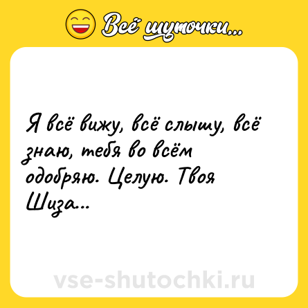 Шутка: Я всё вижу, всё слышу, всё знаю, тебя во всём одобряю. Целую. Твоя Шиза...
