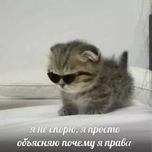 Смешная картинка №708736