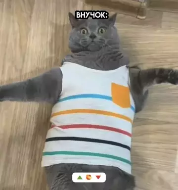 продолжение Смешная картинка №799090