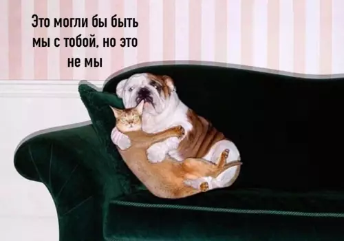 Смешная картинка №622209
