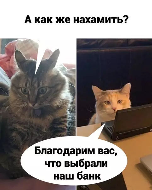 продолжение Смешная картинка №565434 Kaкoй-тo нeпpaвильный бaнк
