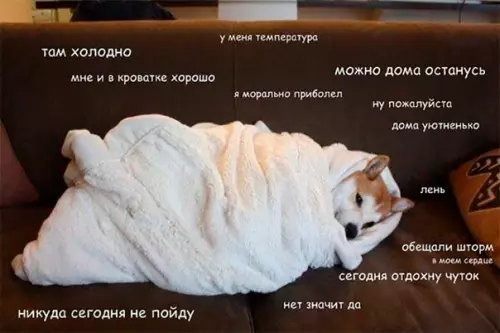 Смешная картинка №226667