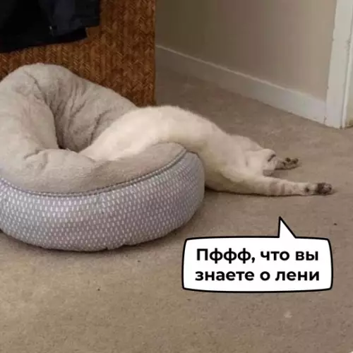 Смешная картинка №748004