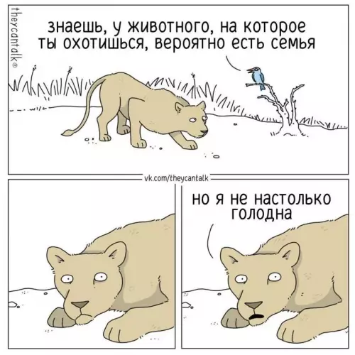 Смешная картинка №772885 Животные