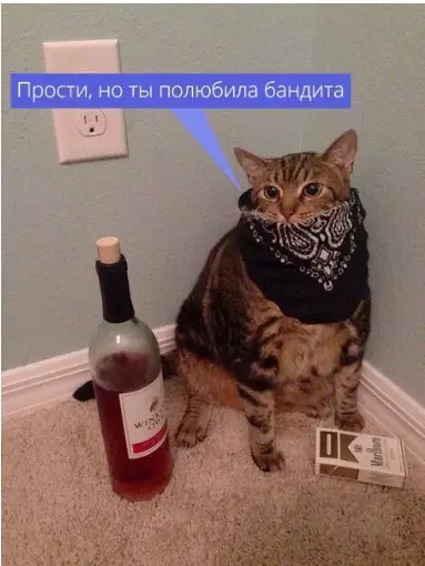 Смешная картинка №252714