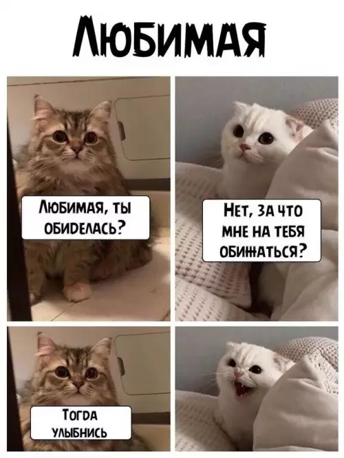 Смешная картинка №629709