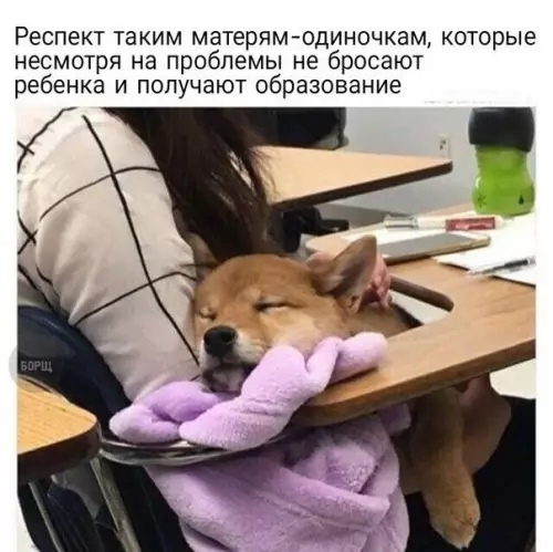 Смешная картинка №246405