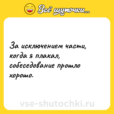 Шутка: За исключением части, когда я плакал, собеседование прошло хорошо.