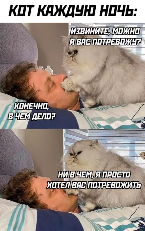 Смешная картинка №666755