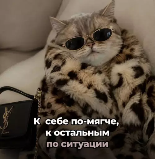 Смешная картинка №817876