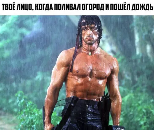 Смешная картинка №186920