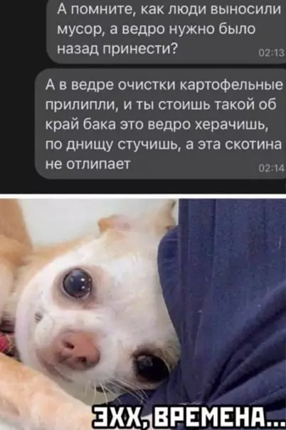 Смешная картинка №546908