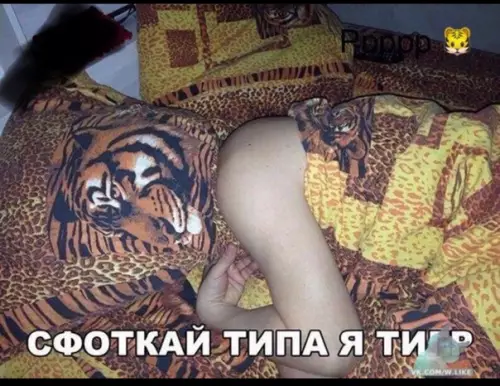 Смешная картинка №325229