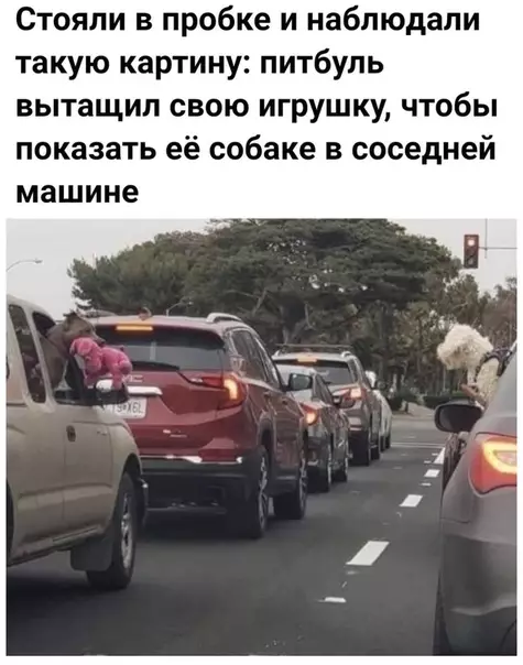 Смешная картинка №495211 Почему это так мило