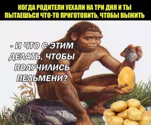 Смешная картинка №452308 Бросить это и пойти купить пельмени
