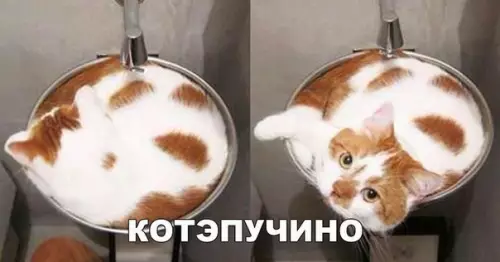 Смешная картинка №245274