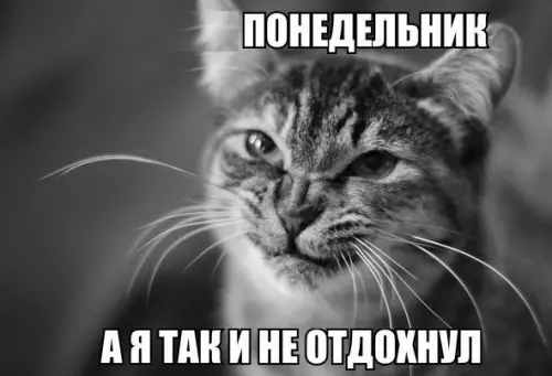 Смешная картинка №208889
