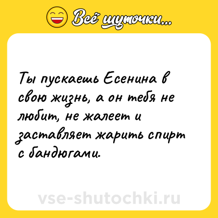 Шутка: Ты пускаешь Есенина в свою жизнь, а он тебя не любит, не жалеет и заставляет жарить спирт с бандюгами.