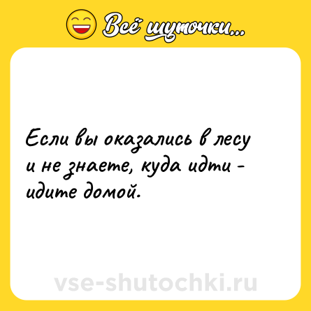 Шутка: Если вы оказались в лесу и не знаете, куда идти - идите домой.