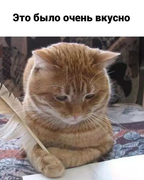 продолжение Смешная картинка №593999 Так и живем)