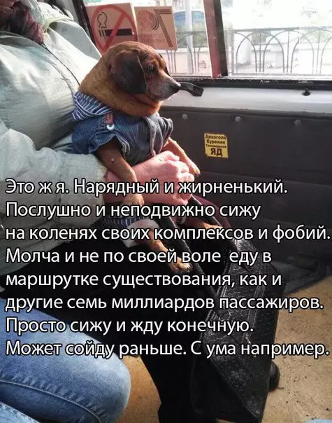 Смешная картинка №264995
