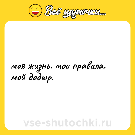 Шутка: моя жизнь. мои правила. мой додыр.