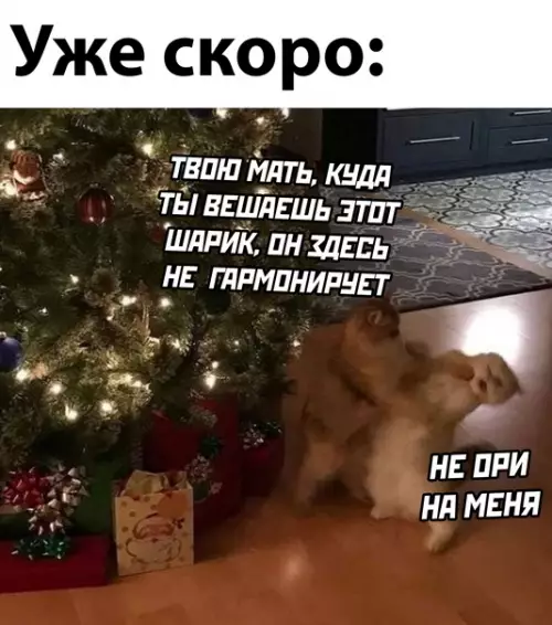 Смешная картинка №616085 Новый год