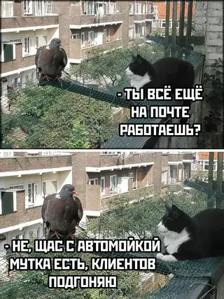 Смешная картинка №692920