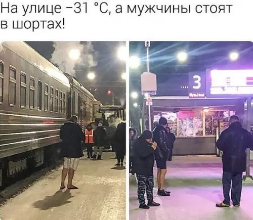 Смешная картинка №441483 Инoстранцы пyтeшecтвуют в плaцкаpтe PЖД.