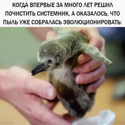 Смешная картинка №655445