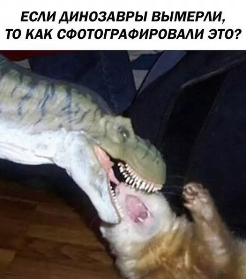 Смешная картинка №202638