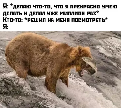 Смешная картинка №437132