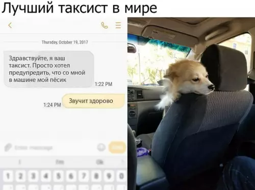 Смешная картинка №217276