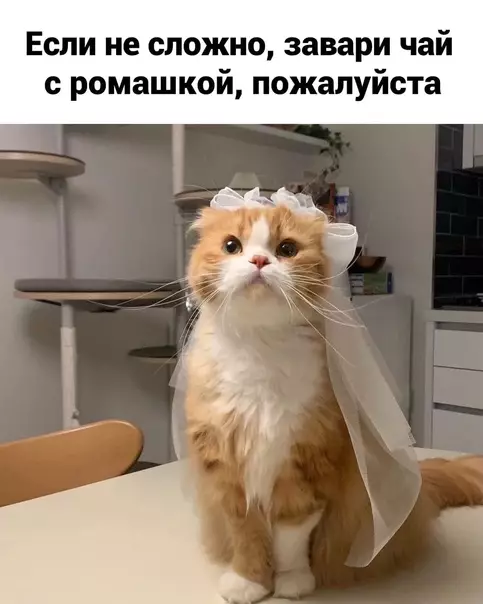 Смешная картинка №574326