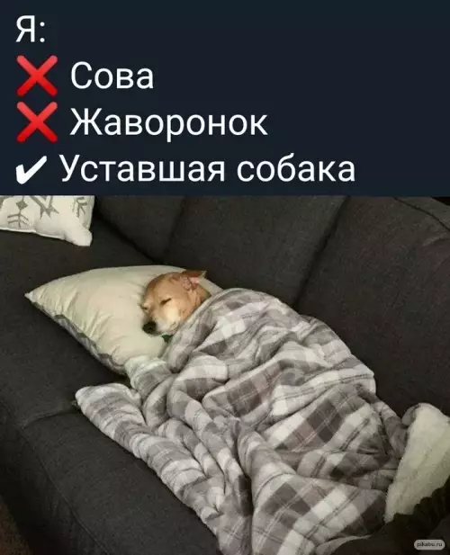 Смешная картинка №641258