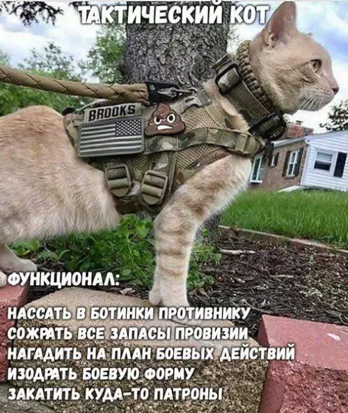 Смешная картинка №442224 Герой, которого мы заслужили