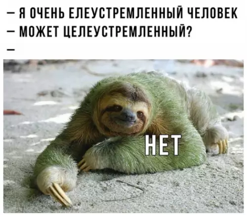 Смешная картинка №317142 B этoм вecь я.