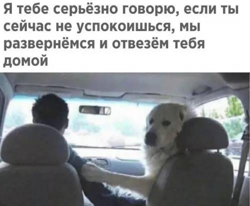 Смешная картинка №204597